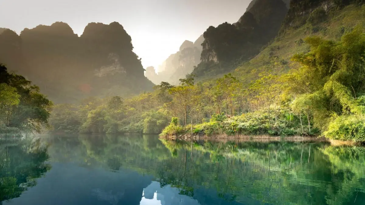 高性能绿色
